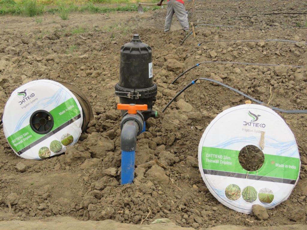 How Drip Liner Systems Boost Modern Farming – A Solution by Dattieko Investment