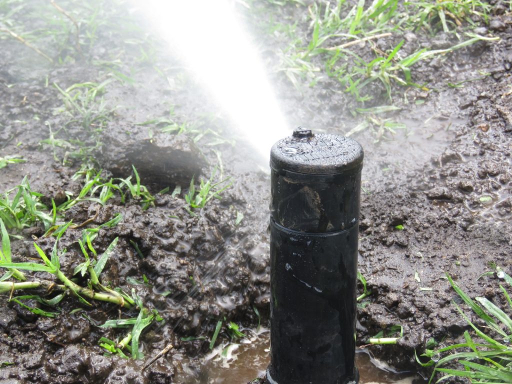Efficient Irrigation and Water Management Techniques for Agriculture in Tanzania